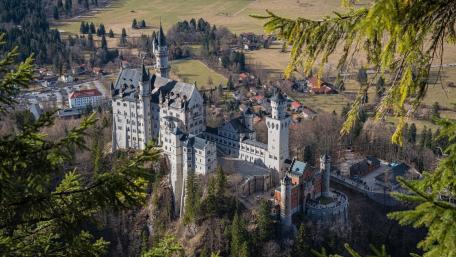 Beautiful view of the Neuschwanstein Castle among the pines wallpaper