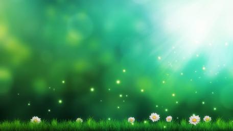 Fantasy spring field wallpaper