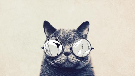 Hipster cat wallpaper