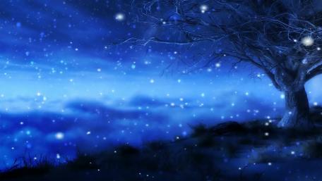 Starry winter night wallpaper