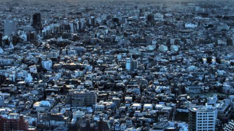 Japanese Metropolis wallpaper