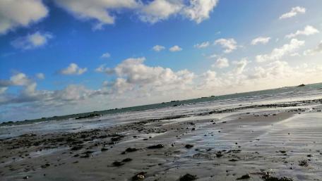 The Sea wallpaper