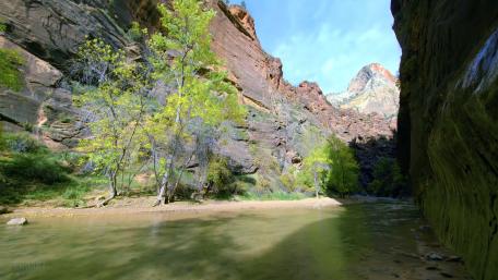 Zion National Park wallpaper