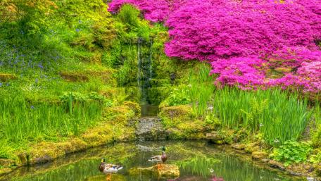 Wakehurst Palace botanical garden (England) wallpaper