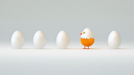Odd One Out in Eggy Lineup wallpaper