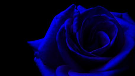 Only Blue wallpaper
