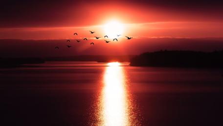 Red sunset wallpaper