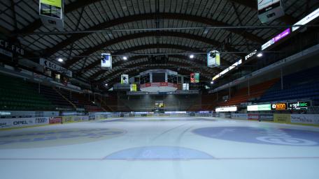 BCF Arena wallpaper