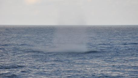 Formation of a Waterspout wallpaper