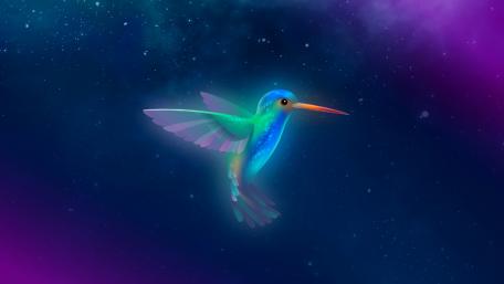 Glowing hummingbird wallpaper