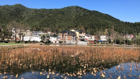 Anji Yucun Village wallpaper