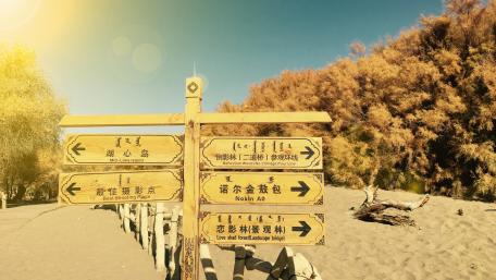 A hot summer day tour wallpaper