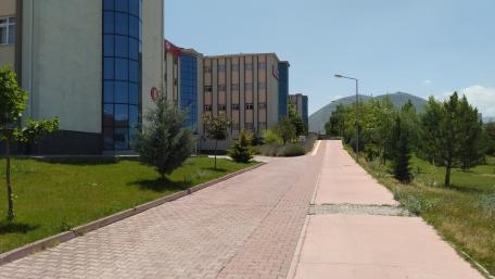 Peaceful City Pathway in Bright Daylight wallpaper