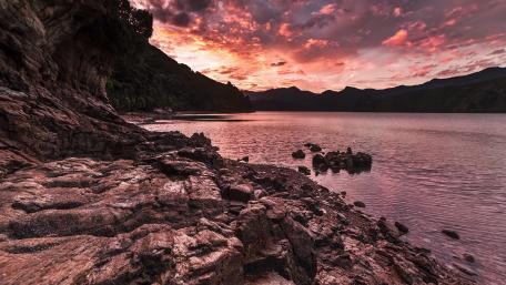 Pink landscape wallpaper