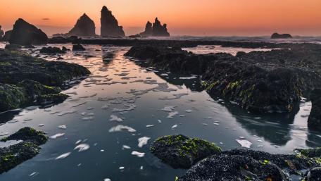 Motukiekie coastline sea stacks (New Zealand) wallpaper