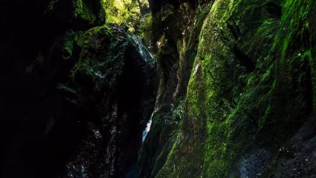 Mossy rocks wallpaper