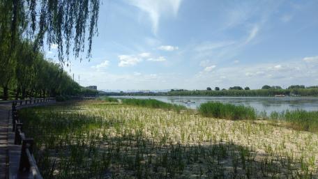 River bank wallpaper