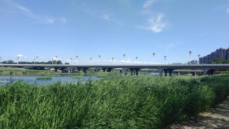 Bridge in Beijing wallpaper