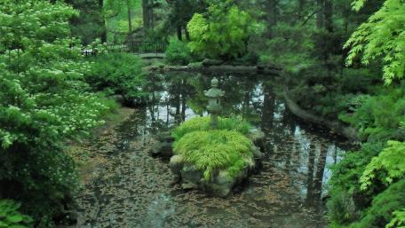 At the The Japanese waterfall in High Park, Toronto wallpaper