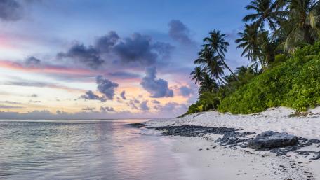 Tropical coastline in Maui, Hawaii wallpaper