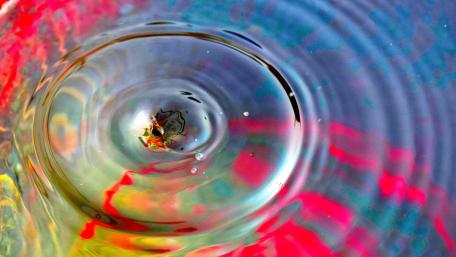 Water drop wallpaper