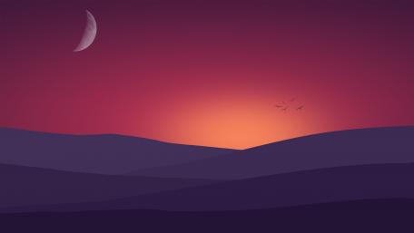 Birds flying towards the sunset landscape Minimal Art wallpaper