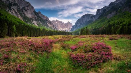 Krma valley (Julian Alps) wallpaper