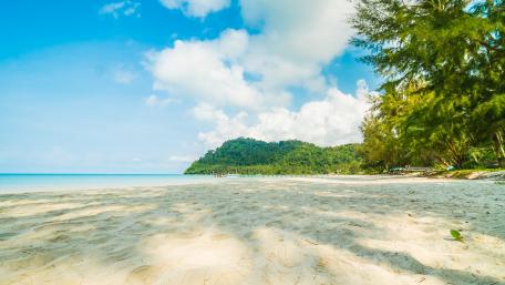 Sandy beach wallpaper