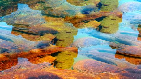 Vibrant Reflections in Tranquil Waters wallpaper
