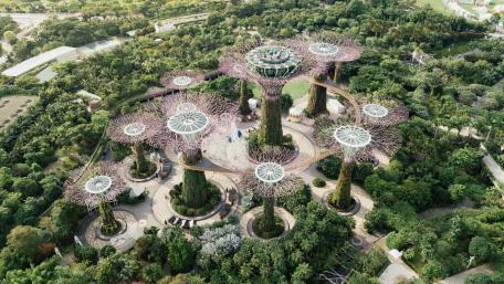 Supertree Grove from Above wallpaper