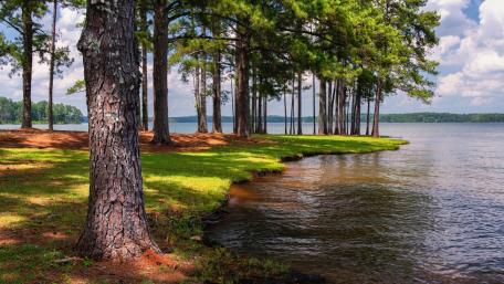 West Point Lake wallpaper