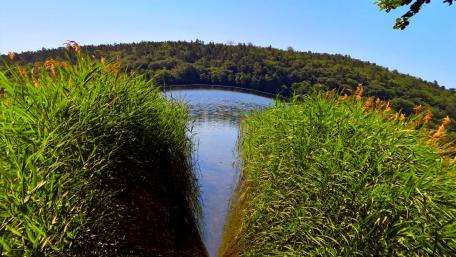 Fisheye effect landscape wallpaper