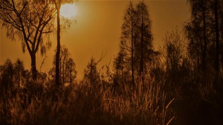 Orange landscape photo wallpaper