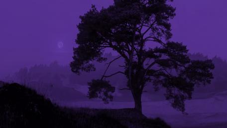 Purple winter night wallpaper