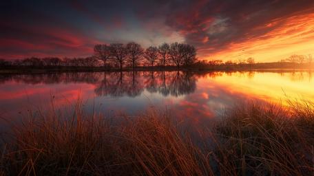 Serene Sunset Over Tranquil Lake Oasis wallpaper