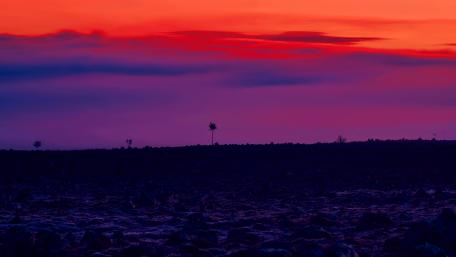 Orange and purple sunset wallpaper