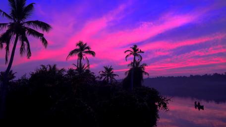Kerala Backwaters, India wallpaper