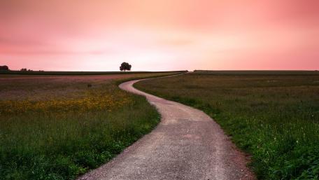 winding road in a field wallpaper