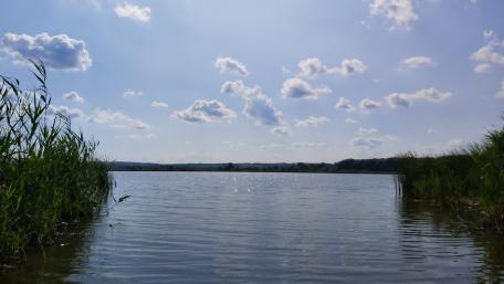 Serene Lake Horizon Under a Bright Sky wallpaper
