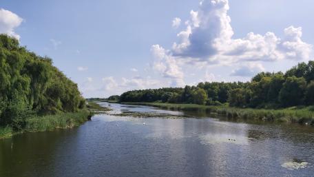 Serene River under a Bright Sky wallpaper
