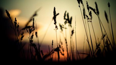Setting sun wallpaper