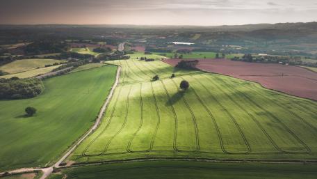 Open Green Field wallpaper