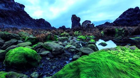 Mossy Iceland wallpaper