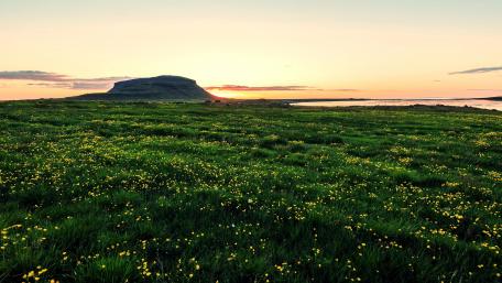 Spring field in Iceland wallpaper