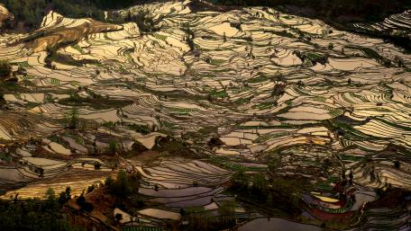 The nature of Yunnan wallpaper