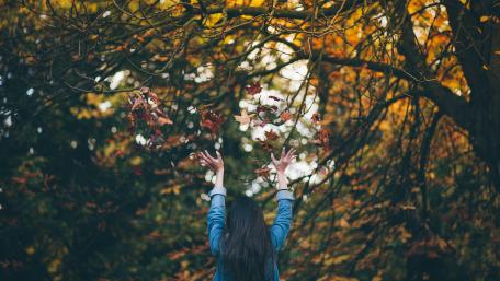 Enjoying the autumn nature wallpaper