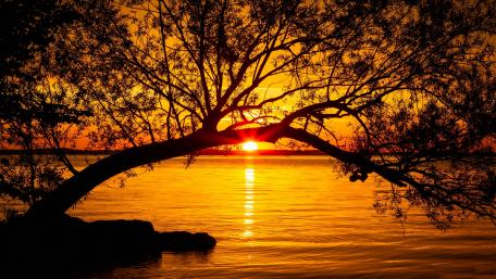 Beautiful orange sunset wallpaper