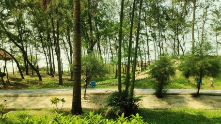 Serene Nature Escape Amidst Lush Trees and Tranquil Waters wallpaper