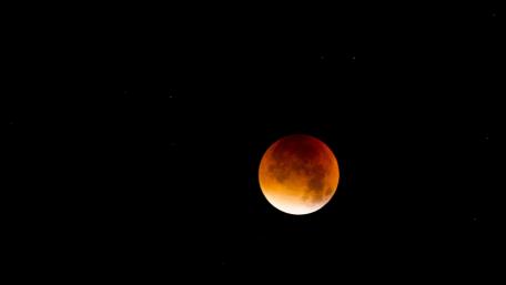 Red moon wallpaper