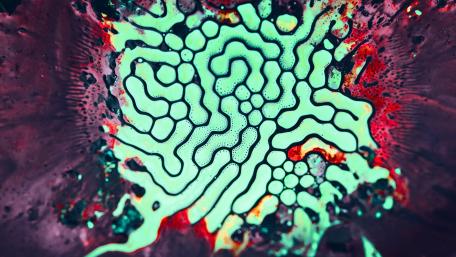 Fractal Patterns in Vibrant Colors wallpaper